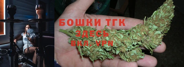 стаф Горняк