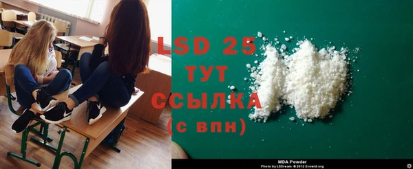 стаф Горняк