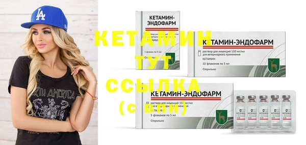 стаф Горняк