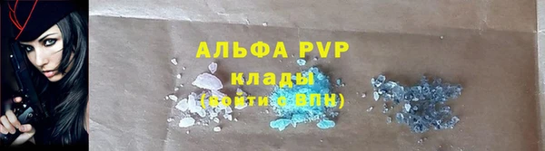 стаф Горняк