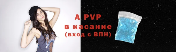 стаф Горняк