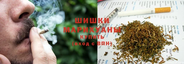 стаф Горняк