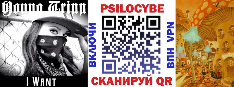 Купить  Великий Устюг  Псилоцибиновые грибы MAGIC MUSHROOMS 